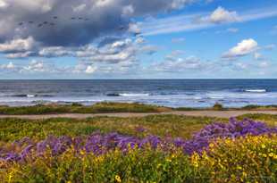 Tamarack Beach-2151.jpg Tamarack Beach-2151.jpg
